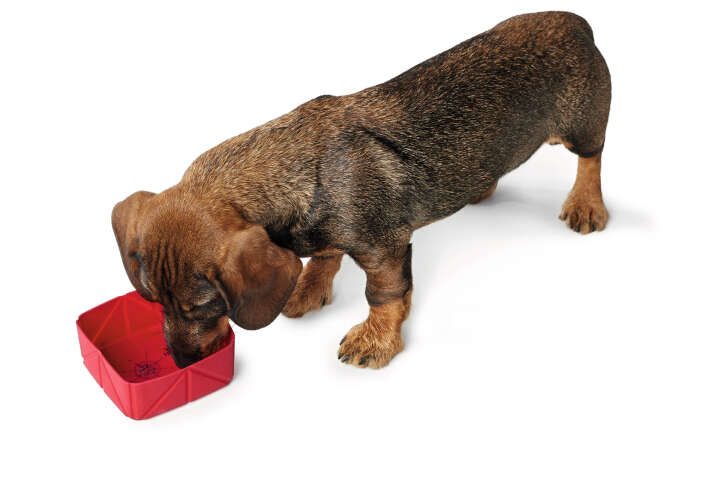 HUNTER Falt-Reisenapf List Silikon